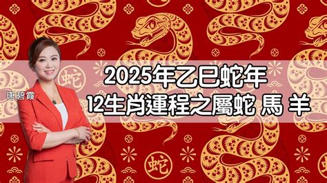 2025年蛇|2025蛇年運程｜12生肖運勢全面睇+犯太歲4生肖+開運大